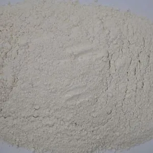 সাদা পেঁয়াজের গুঁড়া